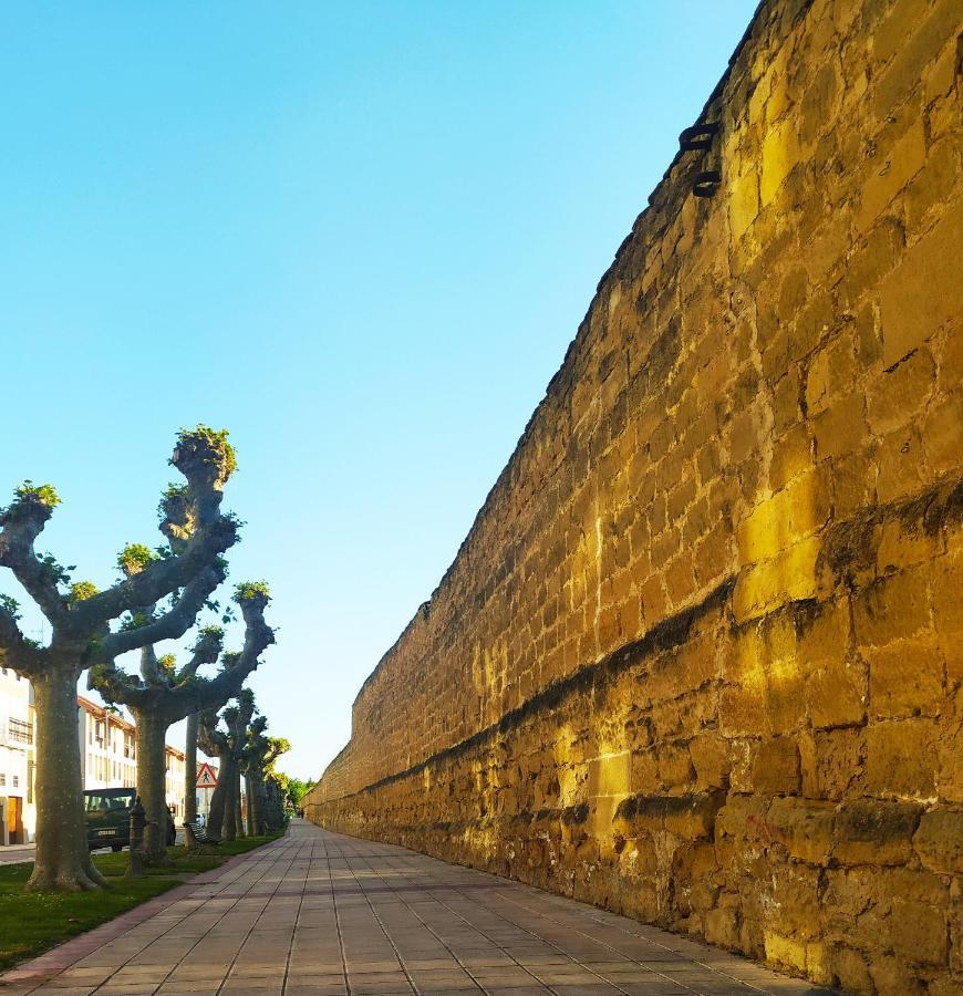 El Rincon De Pilar Lägenhet Casalarreina Exteriör bild